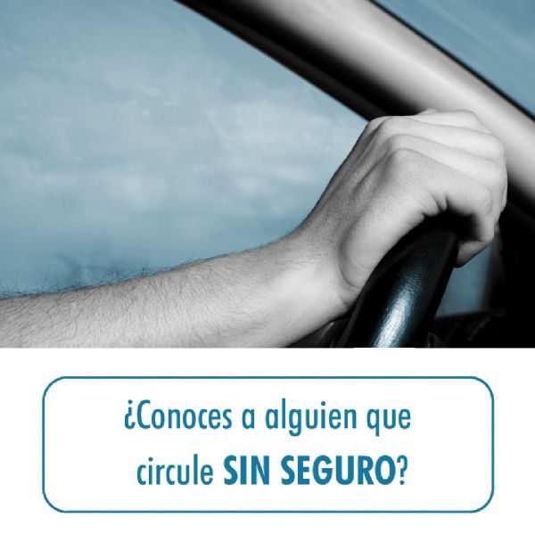 ¿CONOCES-A-ALGUIEN-QUE-CIRCULE-SIN-SEGURO? ¿CONOCES-A-ALGUIEN-QUE-CIRCULE-SIN-SEGURO?